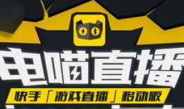 91快手直播,揭秘网红经济新风口